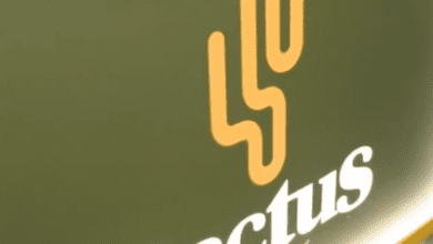Cactus Gaming