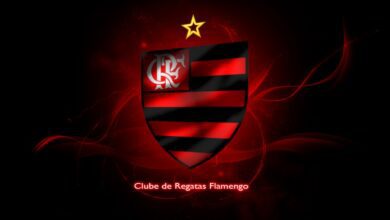 brasao do flamengo